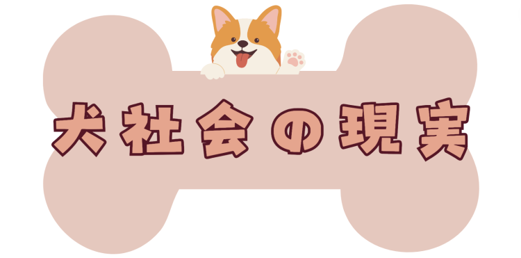 カワイイがいっぱい！ワンダーランド